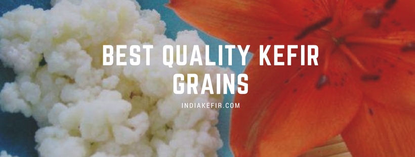 Buy Kefir Grains online in Andhra Pradesh 